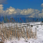 Discovering the Hidden Treasures of Paro: A Scenic Adventure through the Enchanting Chele La Pass