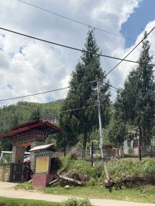 social foresterty day Bhutan