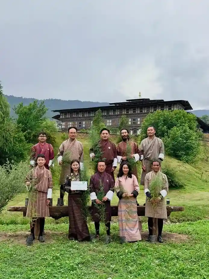 Kaachi Grand Plants 3,000 Trees-image-3