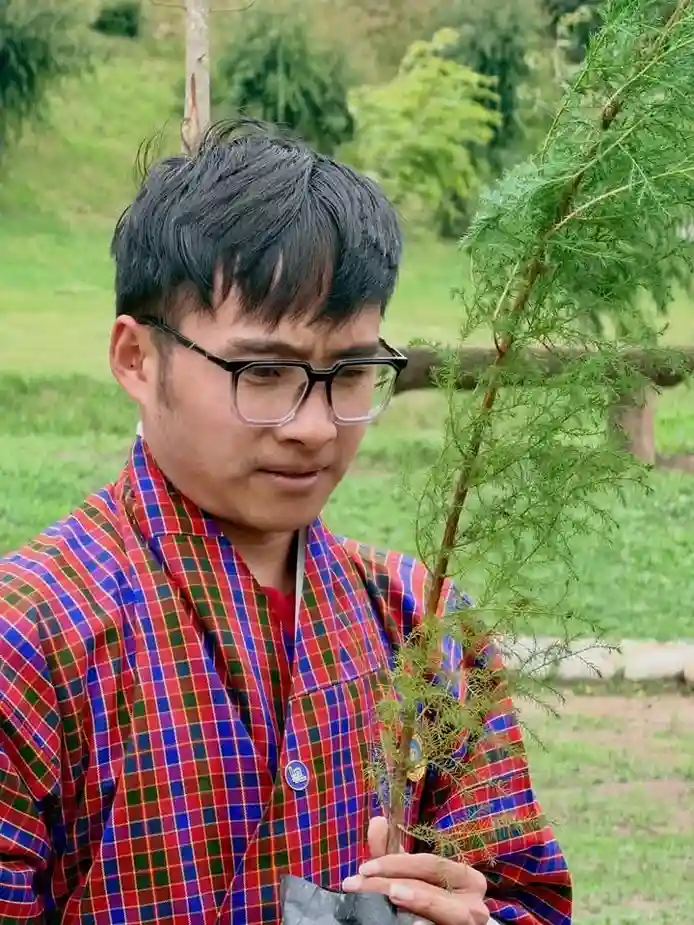 Kaachi Grand Plants 3,000 Trees-image-6