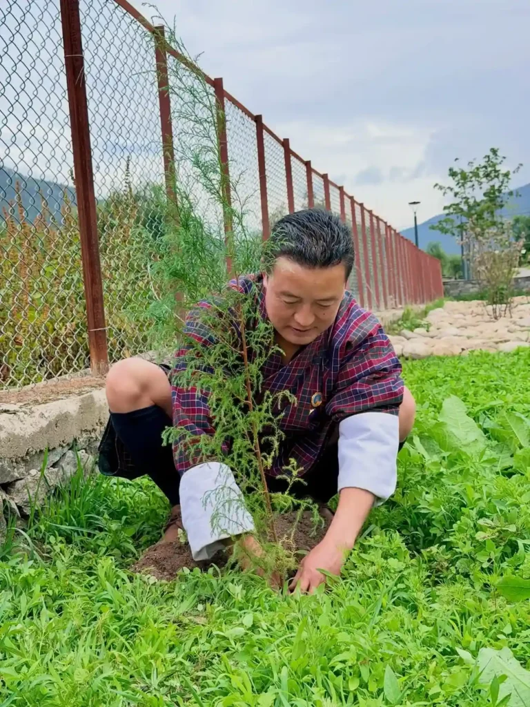 Kaachi Grand Plants 3,000 Trees-image-7