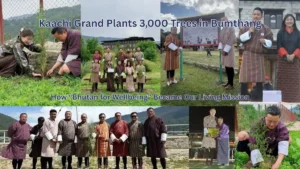 Kaachi Grand Plants 3,000 Trees in Bumthang